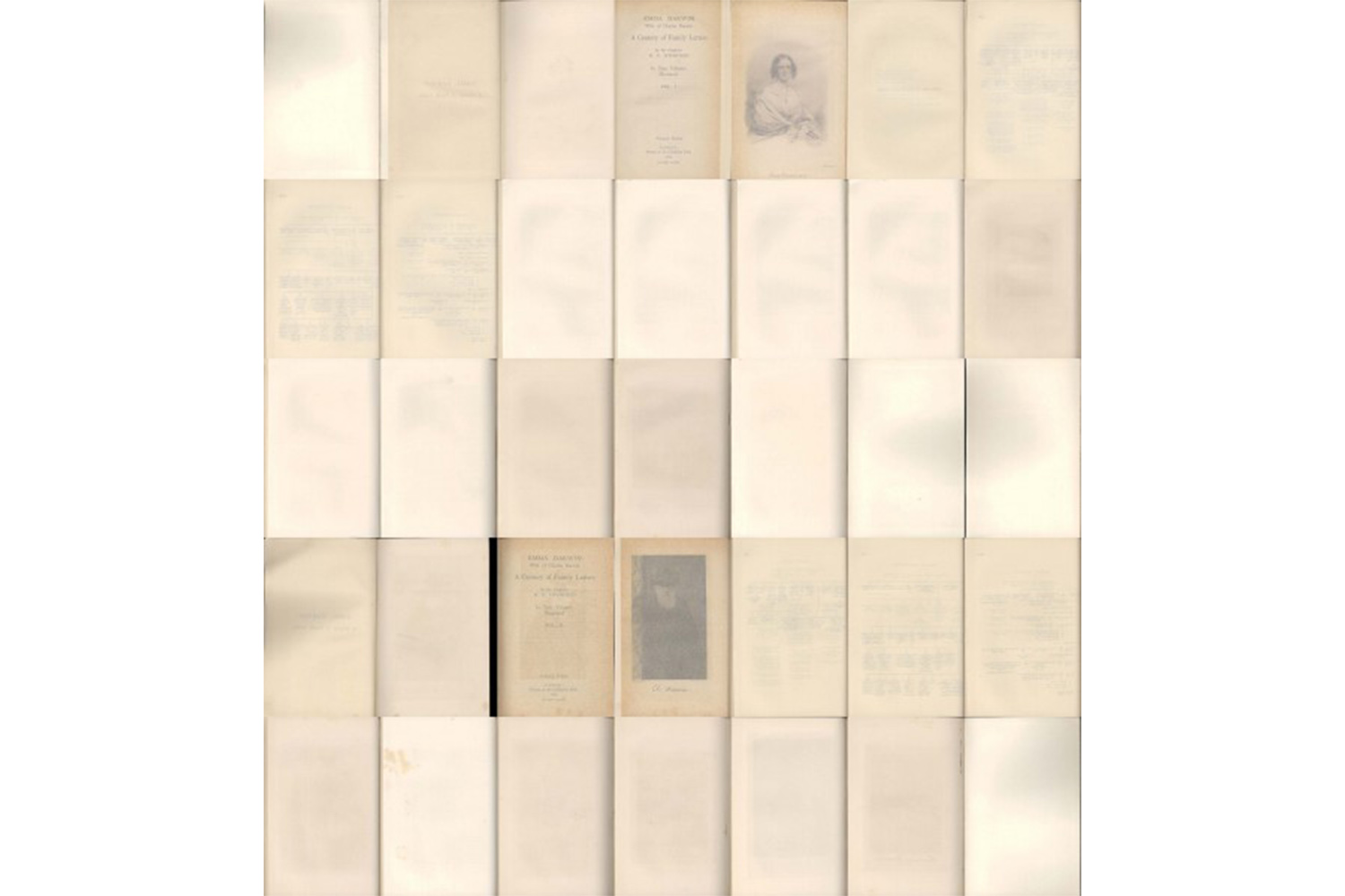 Akos Czigany, 35 Blank Pages From E.H.Litchfield