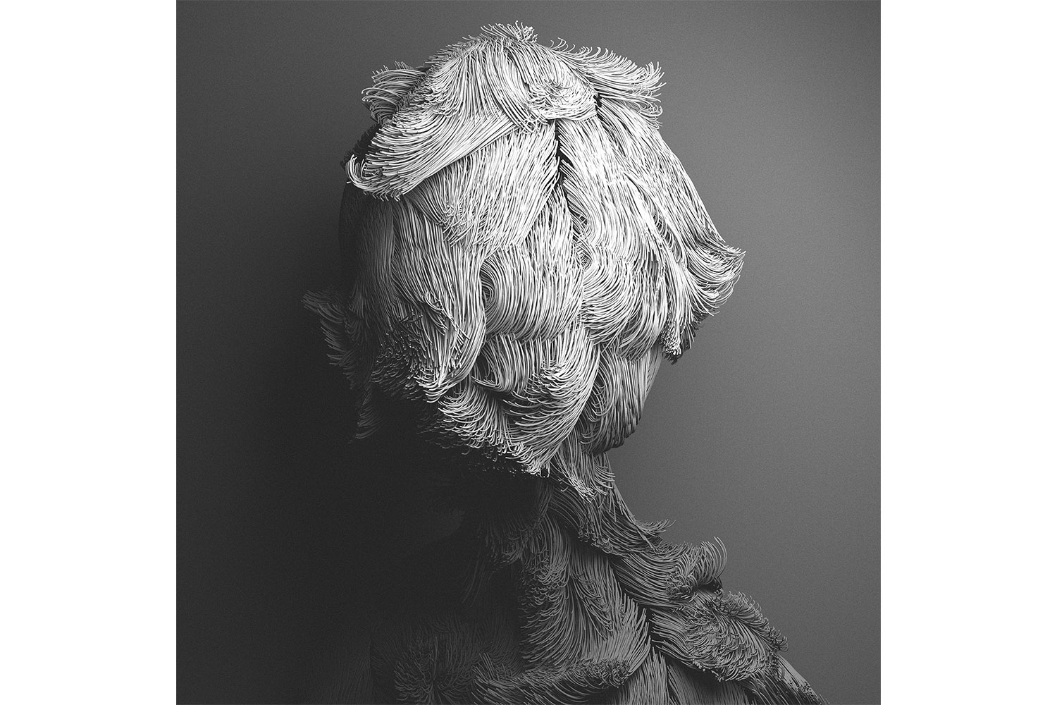 CAN PEKDEMİR / Fur I: Variations II, 2012