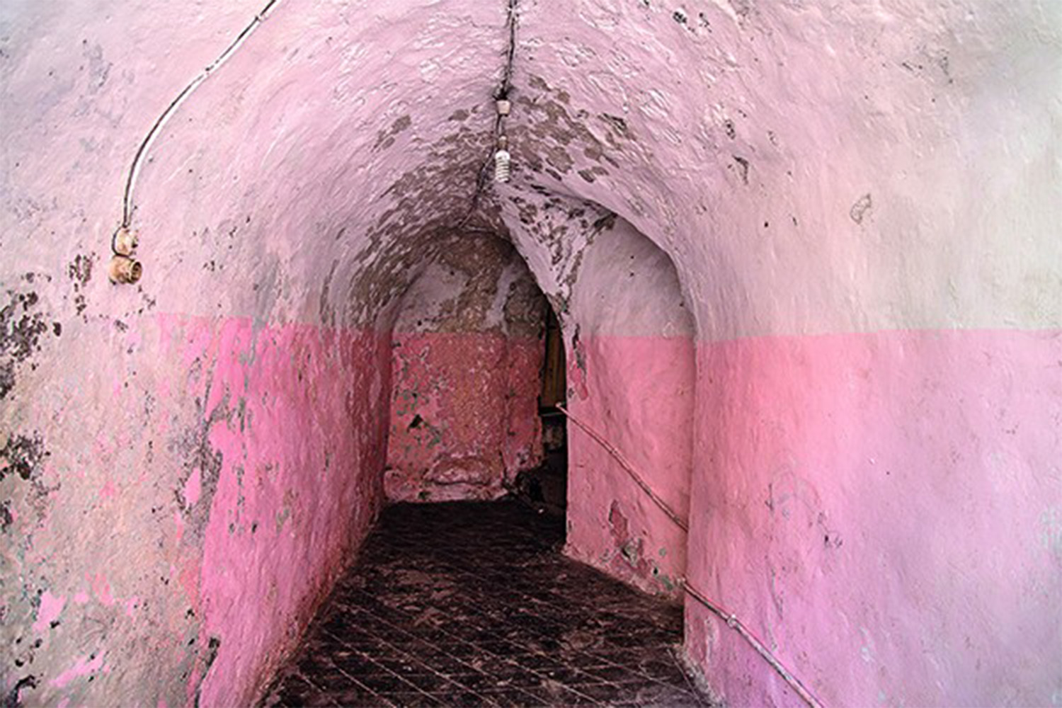 Pink Cave, 2015