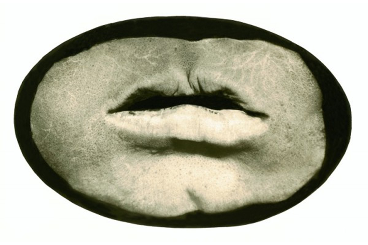 Gabor Kerekes, Mouth