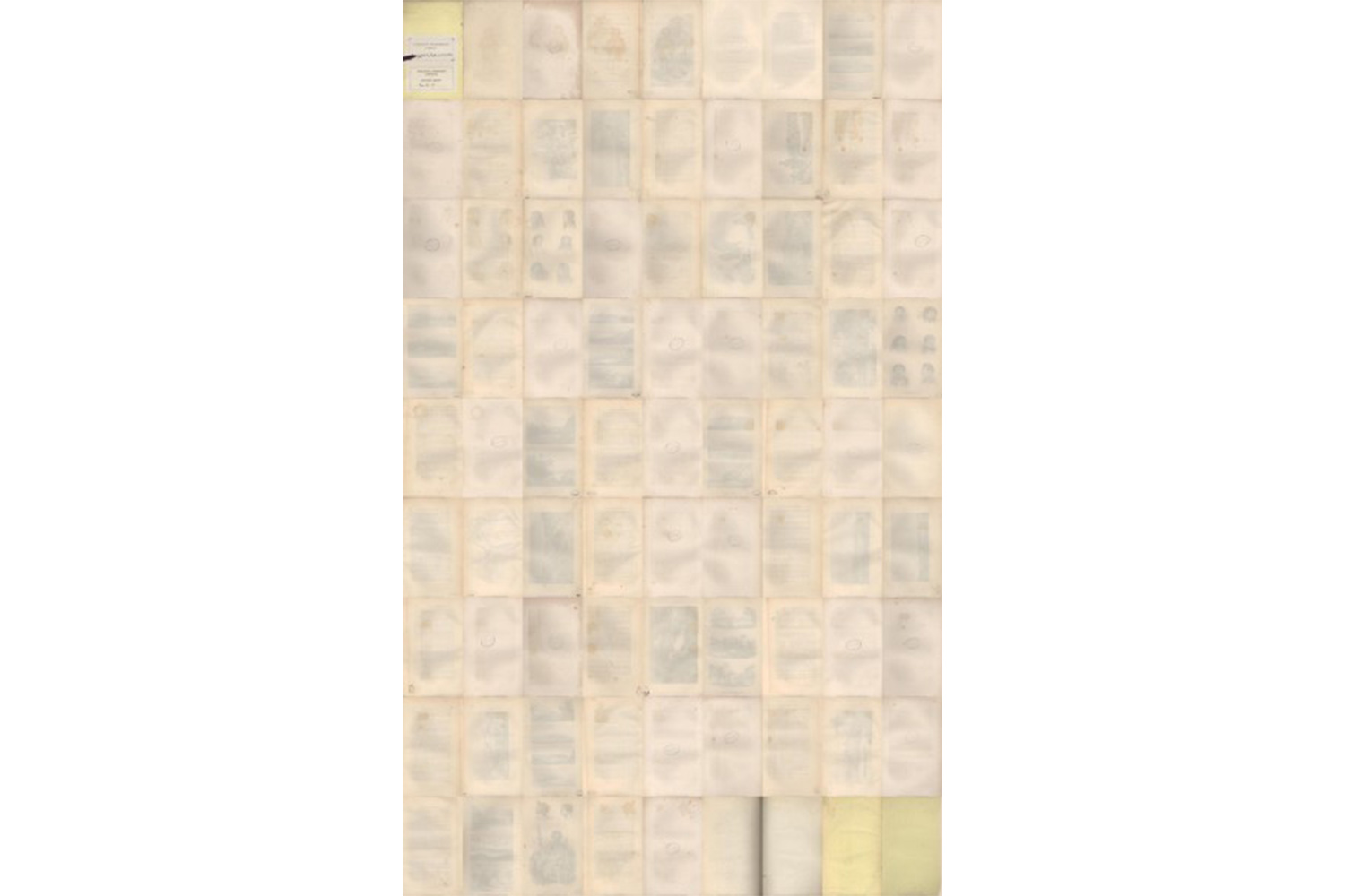 Akos Czigany, 81 Blank Pages From Charles Darwin