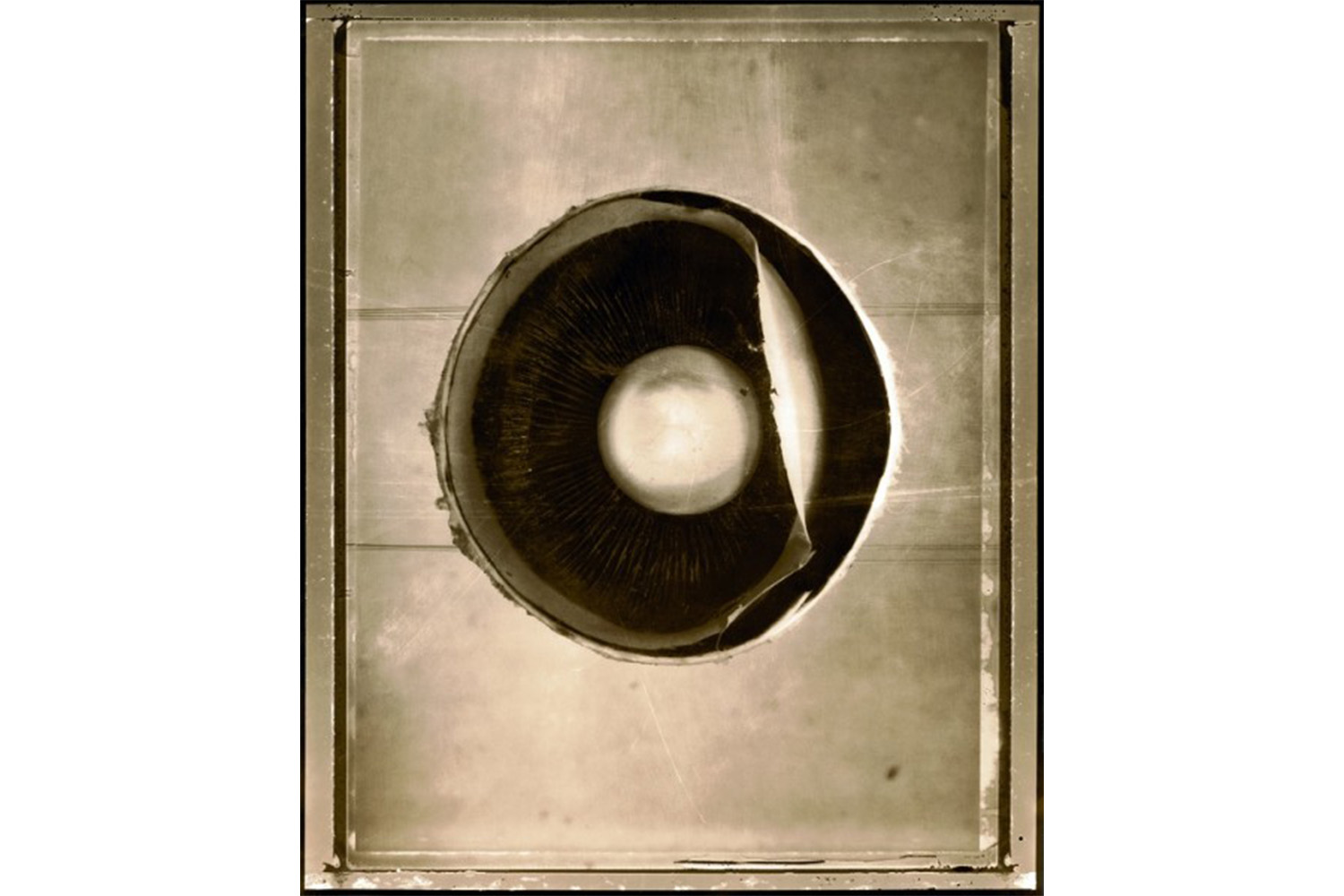 Gabor Kerekes, Eye Lens