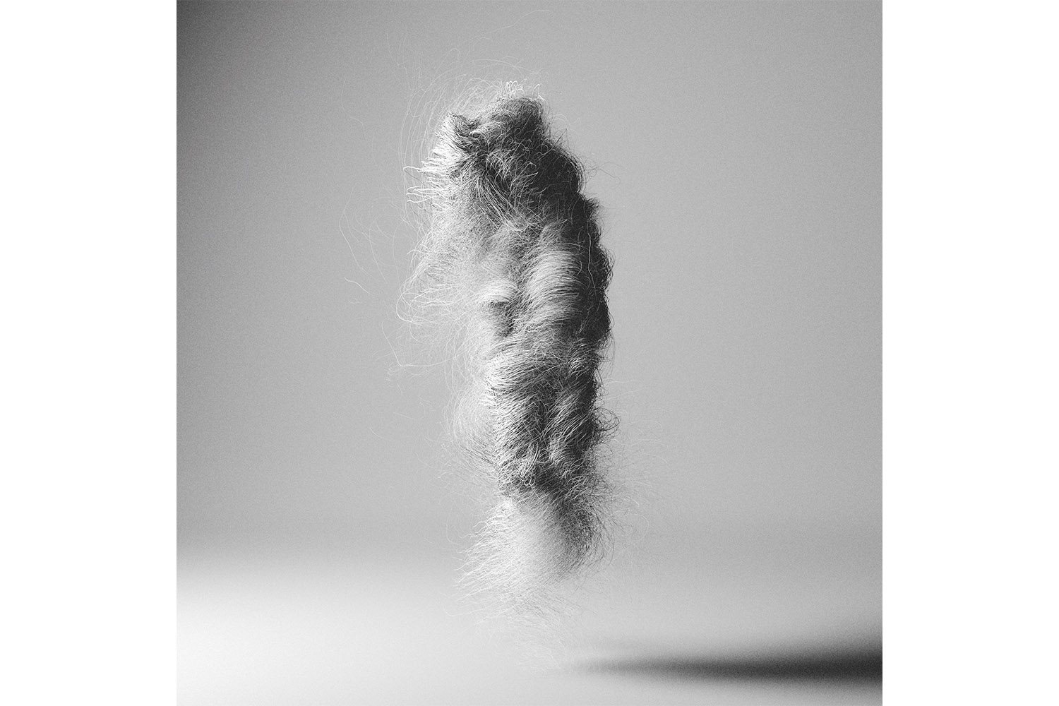 Can Pekdemir, Fur: Whole Body Motion III, Triptych, 2019